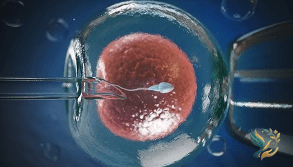 IVF in Egypt: Cost, Success Rates & Fertility Treatment Guide (2026)